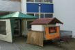 DSC00281.JPG